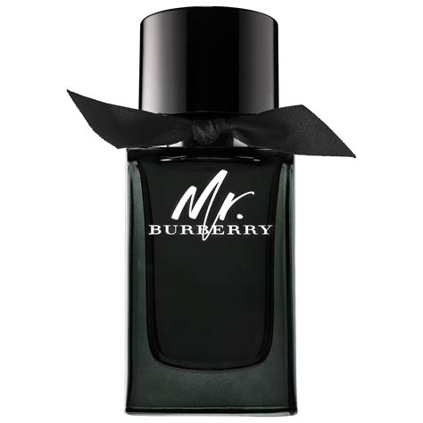 mr burberry eau de parfum spray by burberry5 oz|mr Burberry perfume 50ml.